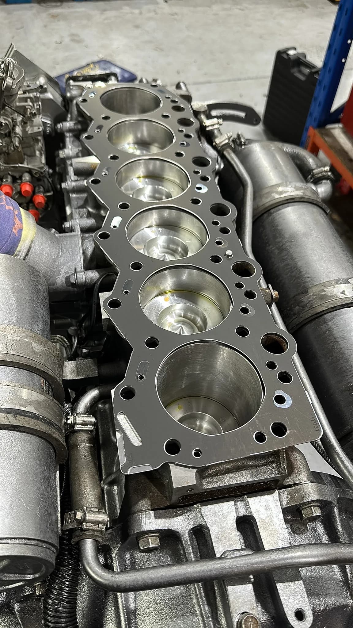 A head gasket laid over the honed bores of a six-cylinder Yanmar block during a rebuild